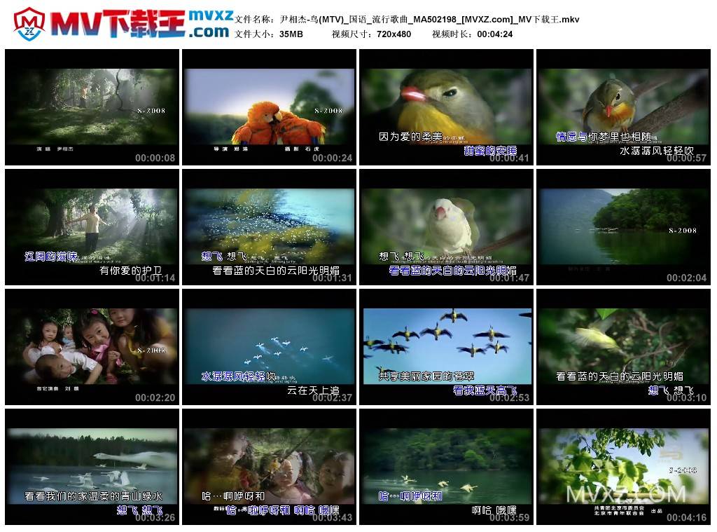 尹相杰-鸟(MTV)_国语_流行歌曲_MA502198